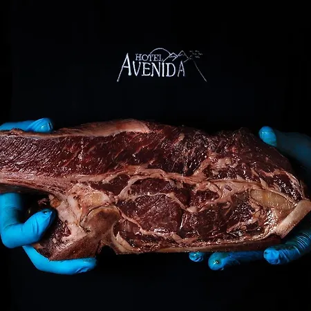 Hotel Avenida Benasque