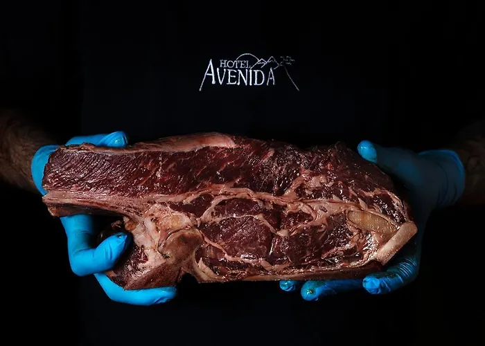 Hotell Avenida Benasque