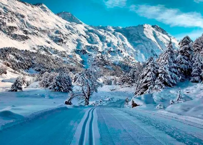 Avenida Hotell Benasque